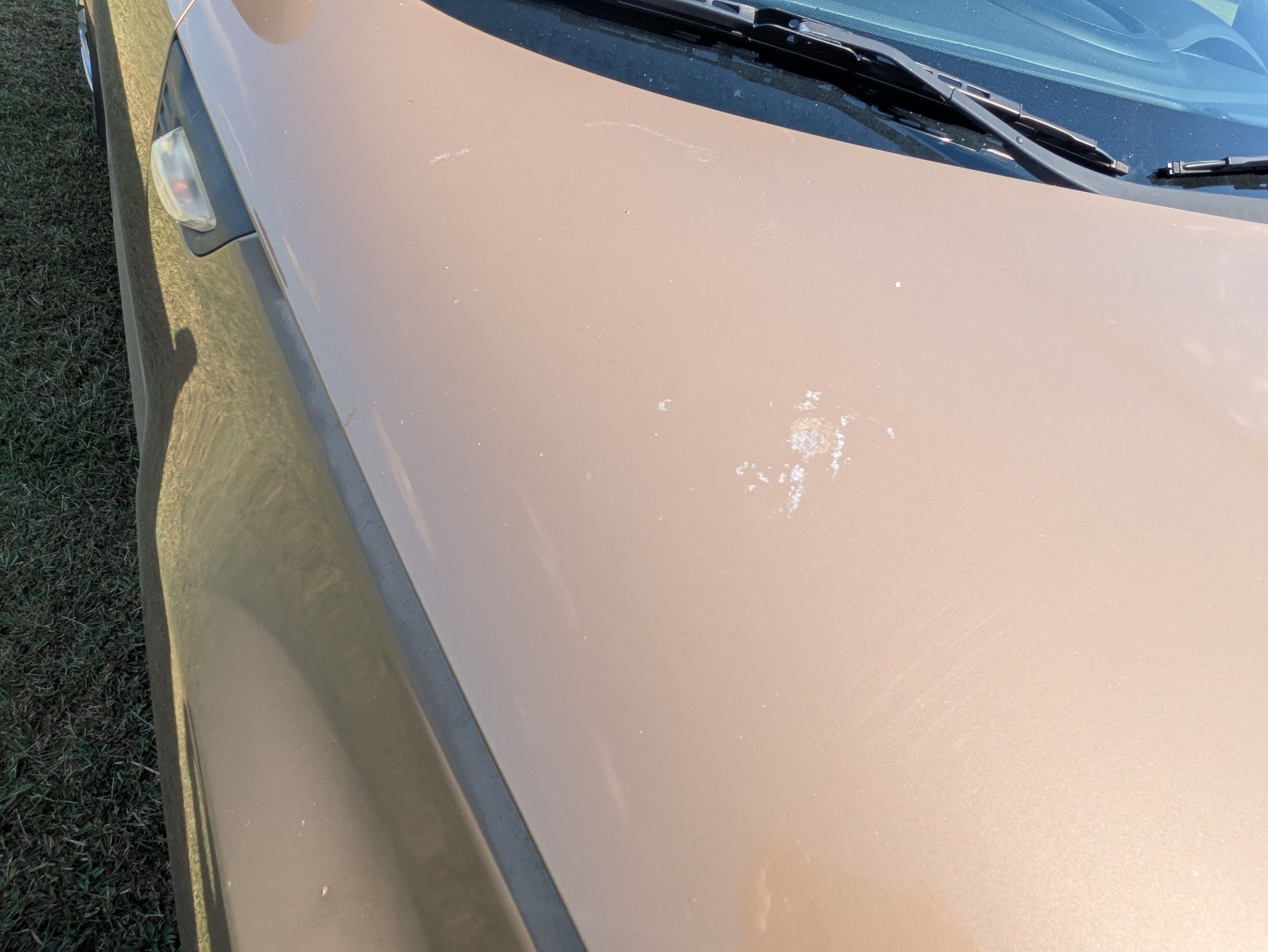 Kia Soul sun damage detail